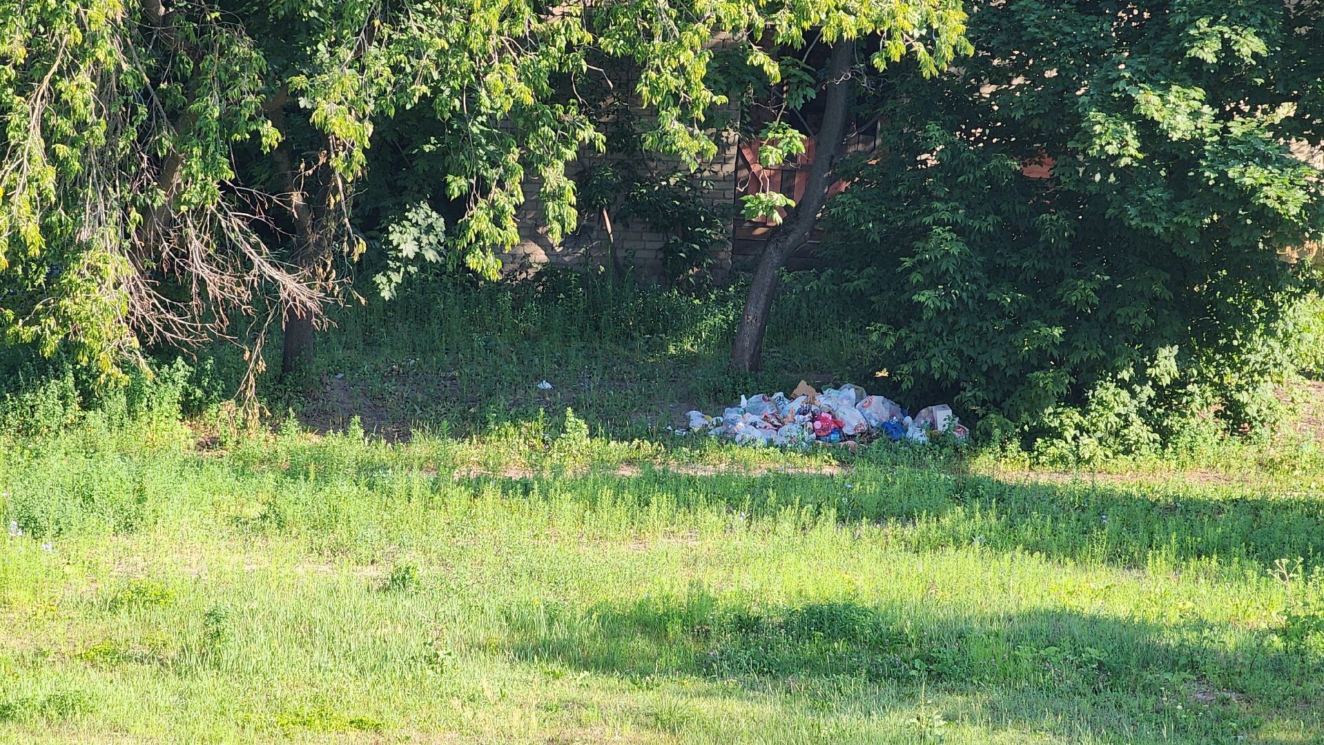 выездная администрация, благоустройство, обращения жителей, Старая Купавна, Богородский городской округ,