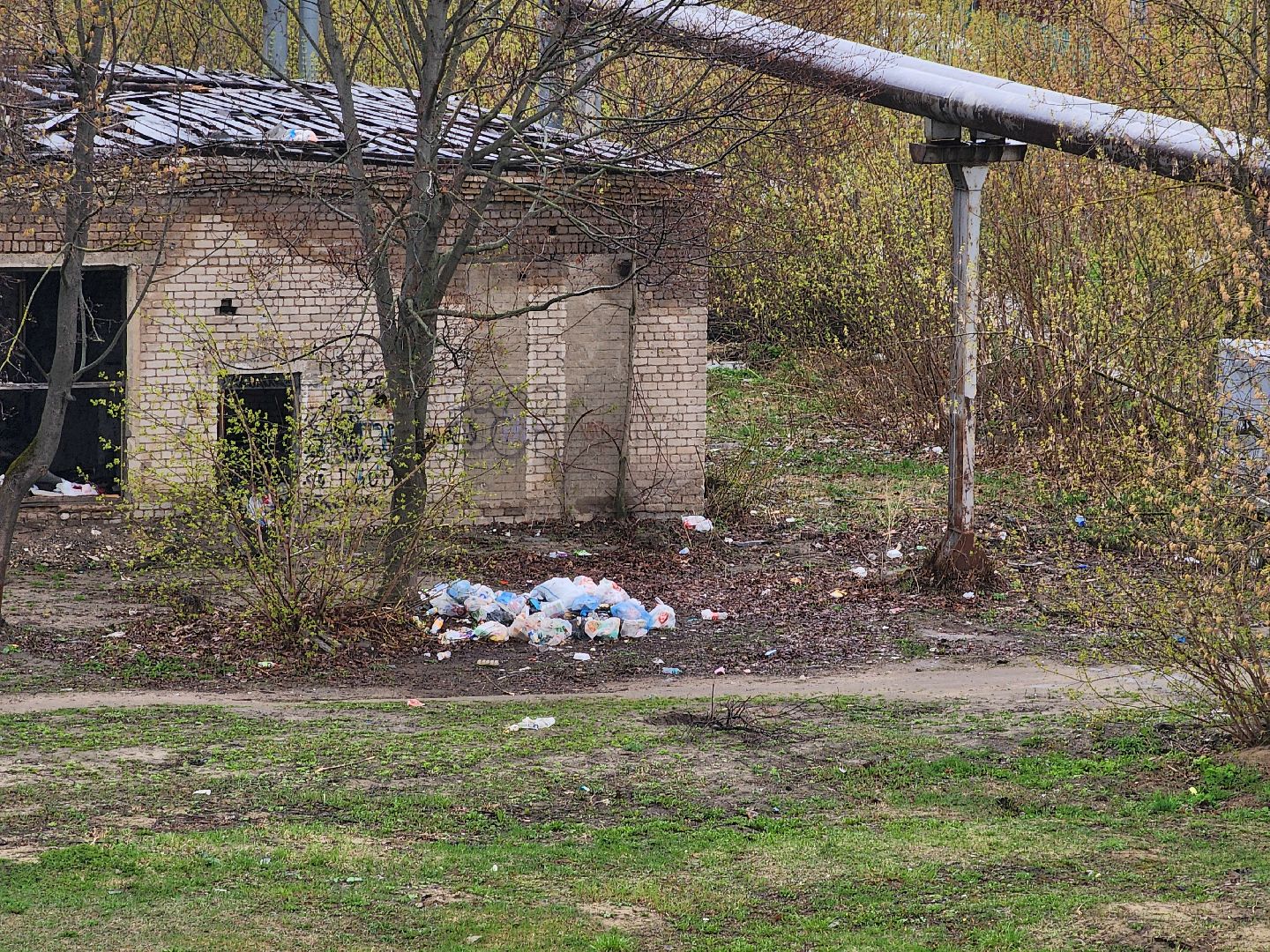 выездная администрация, благоустройство, обращения жителей, Старая Купавна, Богородский городской округ,