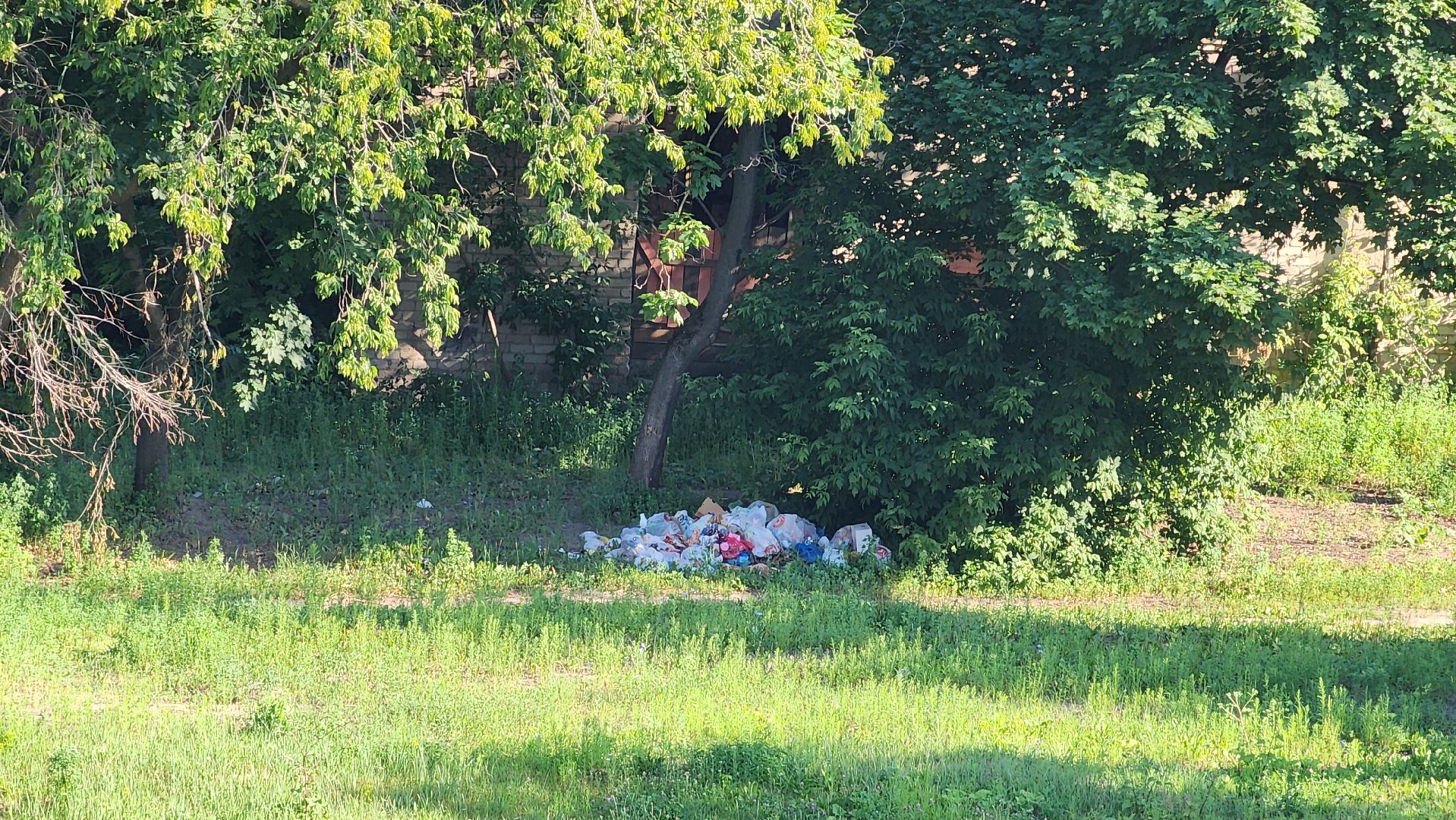 выездная администрация, благоустройство, обращения жителей, Старая Купавна, Богородский городской округ,