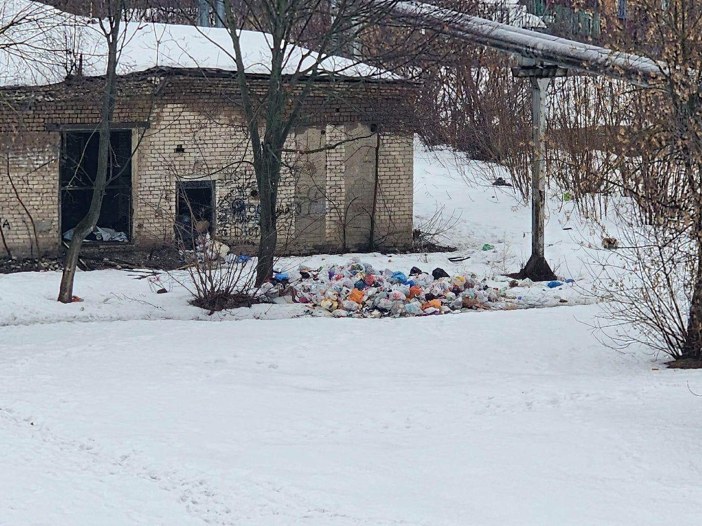 выездная администрация, благоустройство, обращения жителей, Старая Купавна, Богородский городской округ,