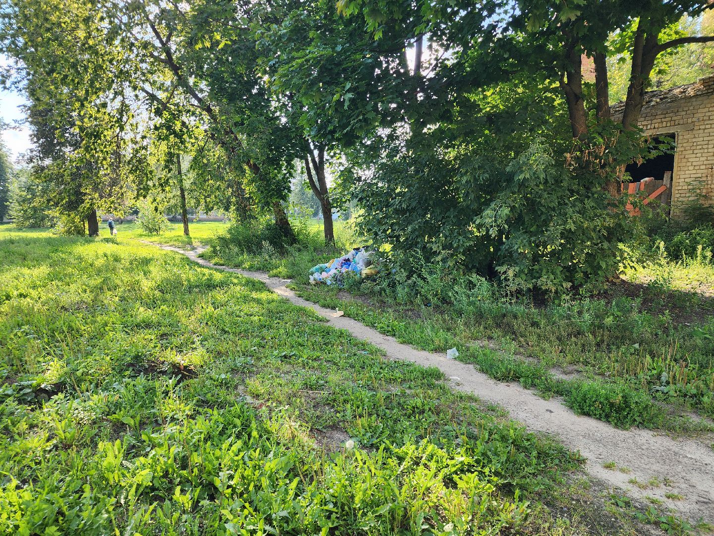 выездная администрация, благоустройство, обращения жителей, Старая Купавна, Богородский городской округ,