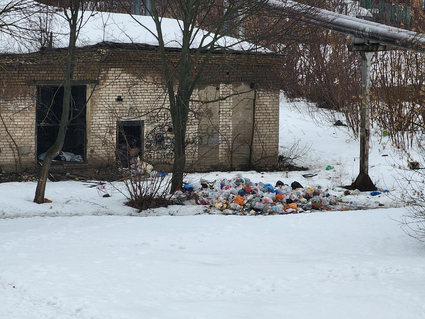 выездная администрация, благоустройство, обращения жителей, Старая Купавна, Богородский городской округ,