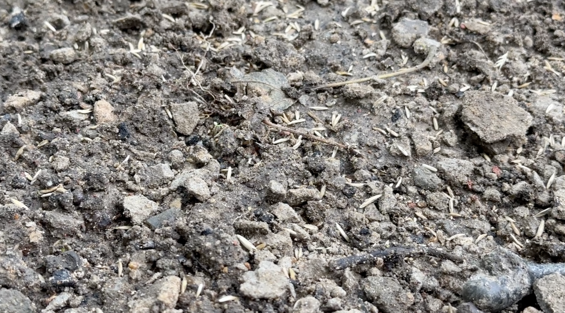 Клин, общество, благоустройство, дворы,