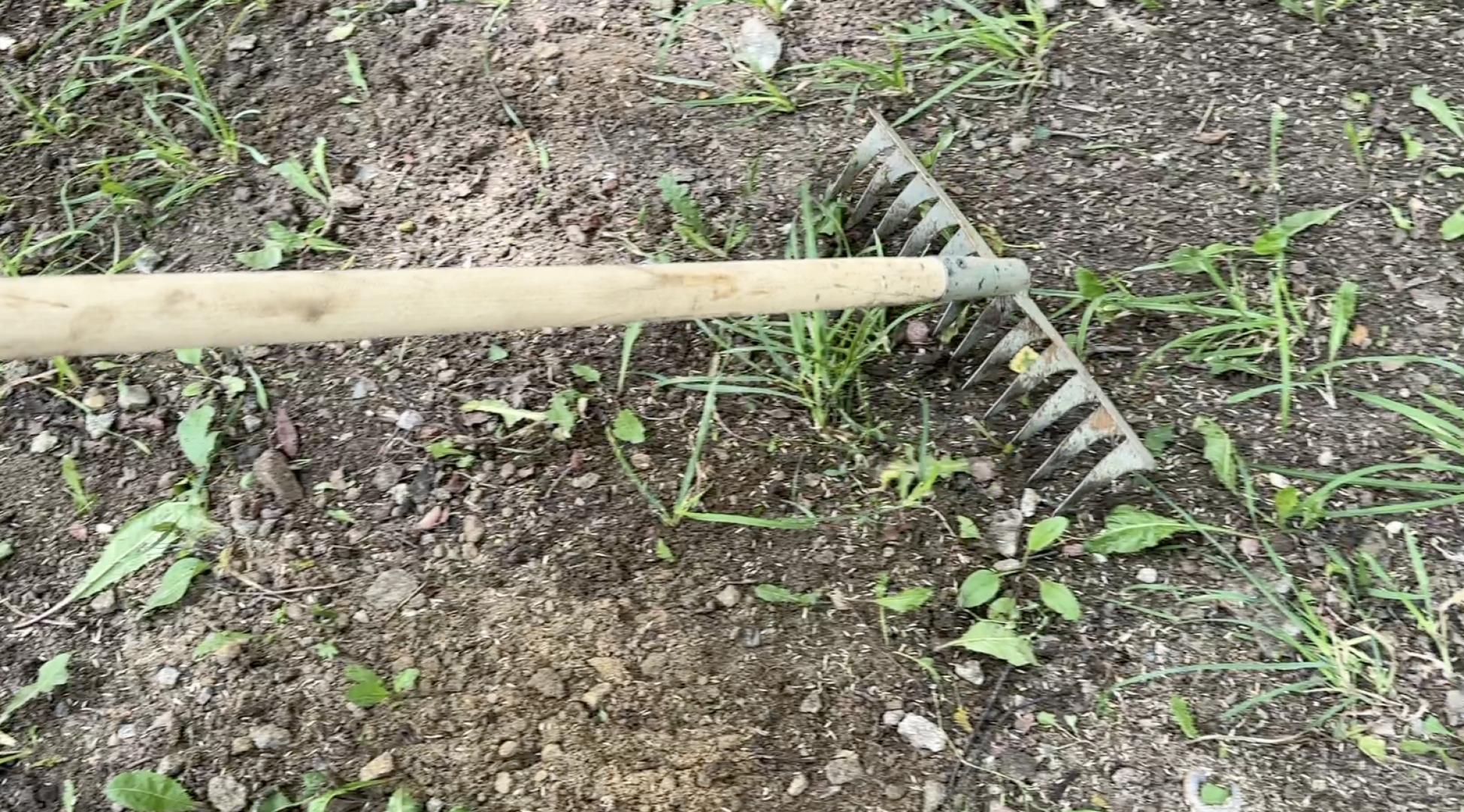 Клин, общество, благоустройство, дворы,