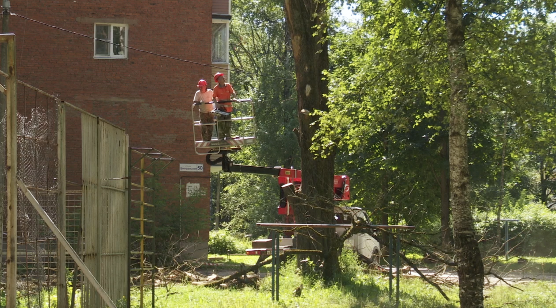 Клин, общество, ЖКХ, благоустройство, опиловка деревьев,