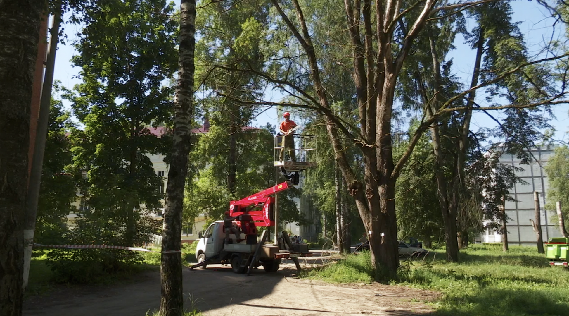 Клин, общество, ЖКХ, благоустройство, опиловка деревьев,