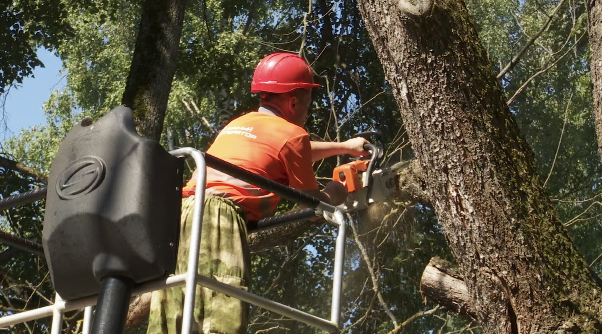 Клин, общество, ЖКХ, благоустройство, опиловка деревьев,