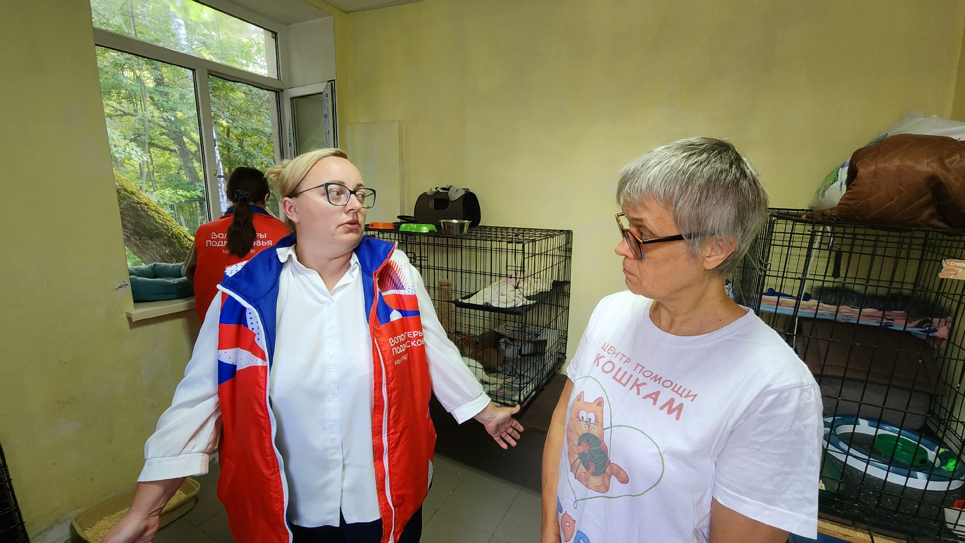 Котобус, Кошки, Кошачий приют, Протвино, Волонтеры,