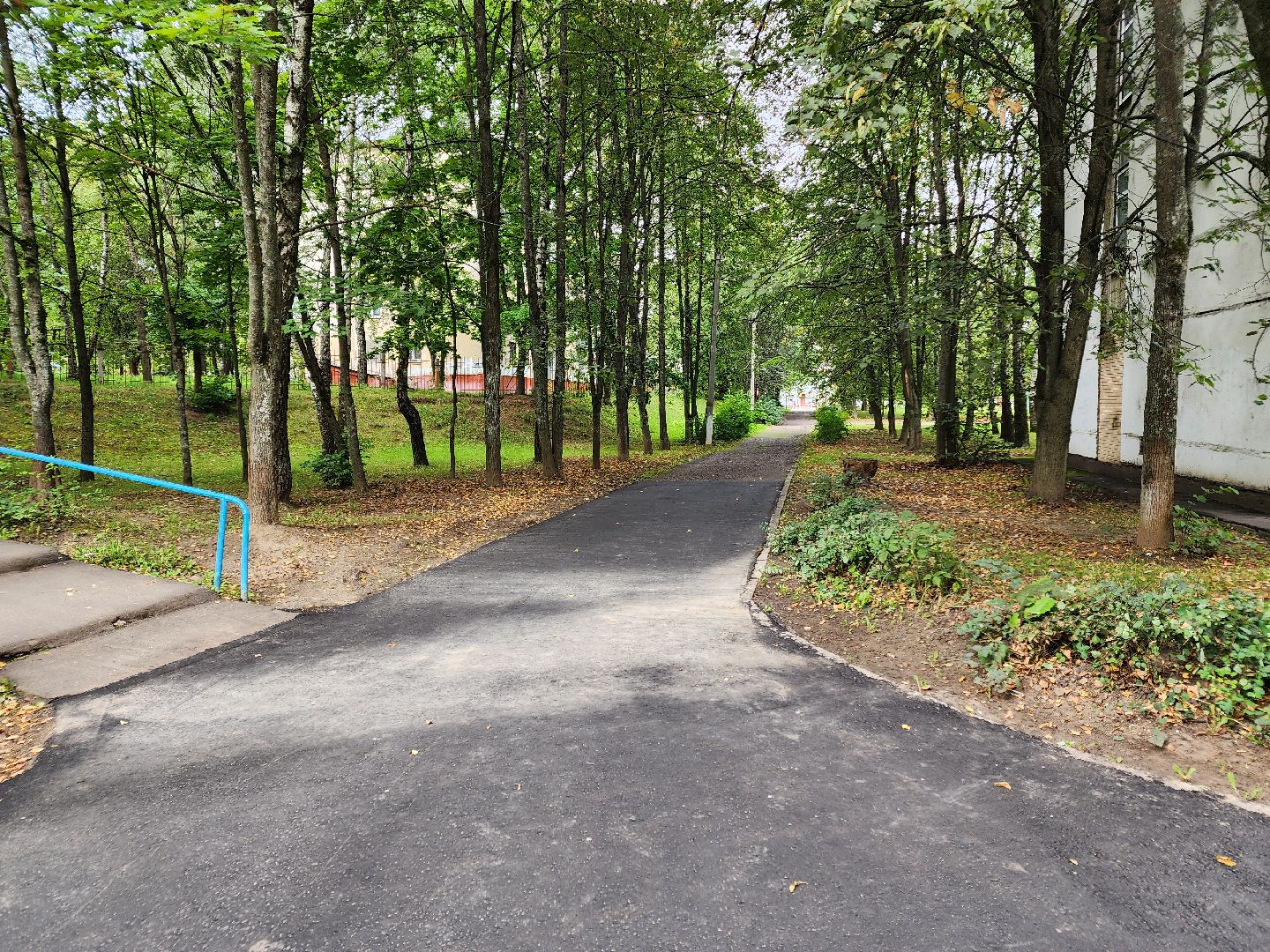 Чехов, школа 8, благоустройство, входная группа, дворовая территория, пешеходная дорожка, система Безопасный регион,