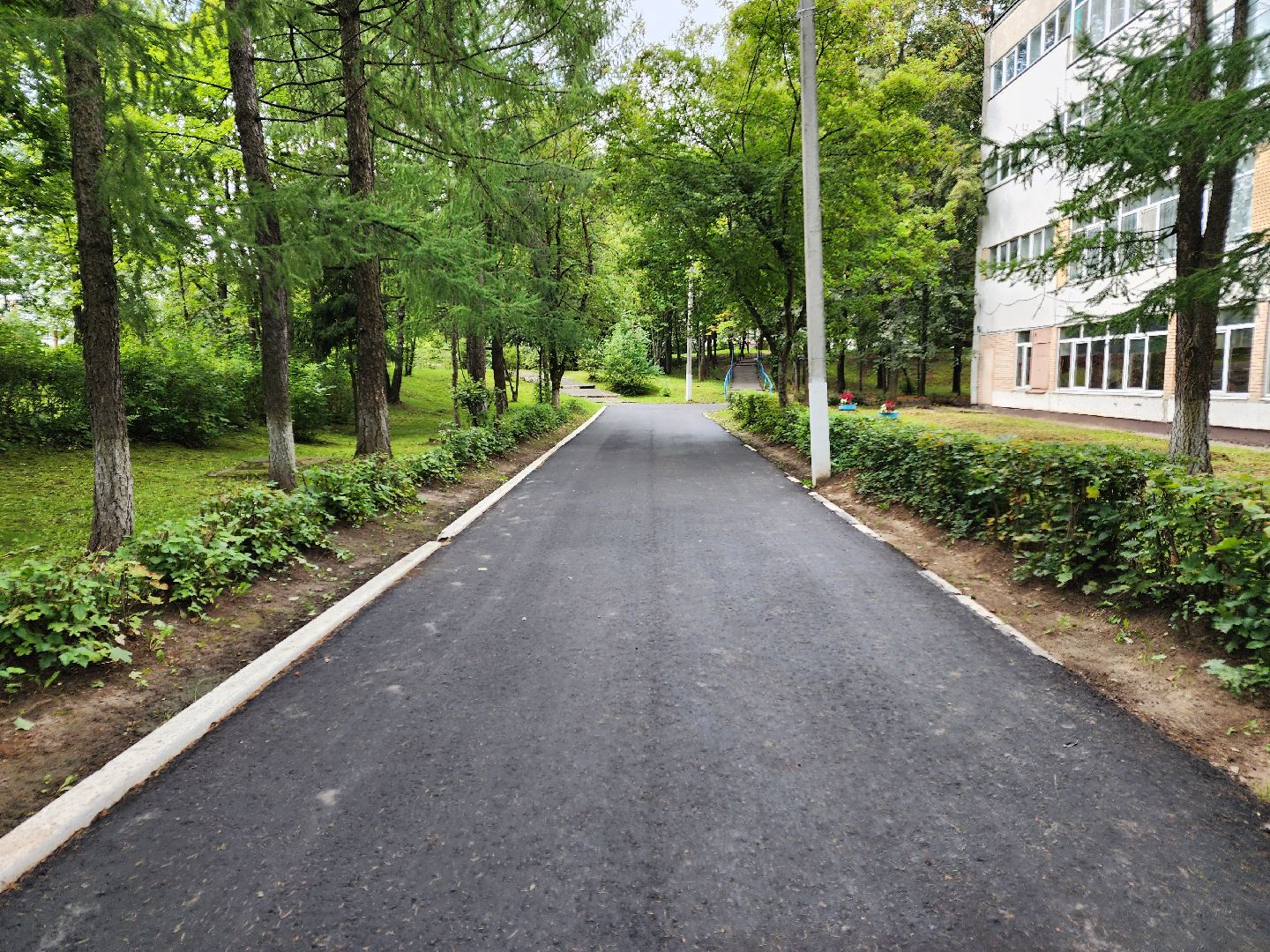 Чехов, школа 8, благоустройство, входная группа, дворовая территория, пешеходная дорожка, система Безопасный регион,