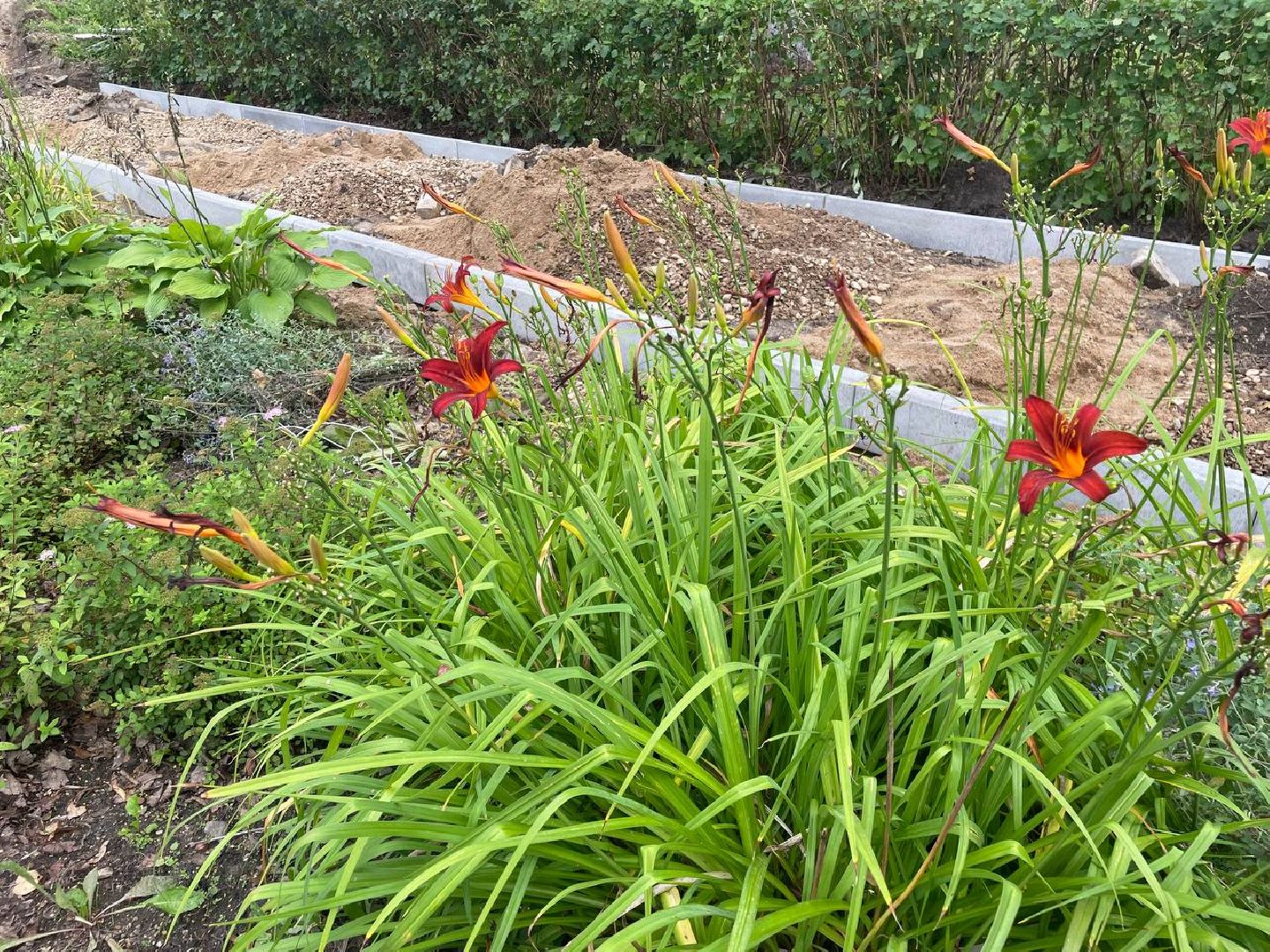 Дмитров, борисоглебский монастырь, минблаго,