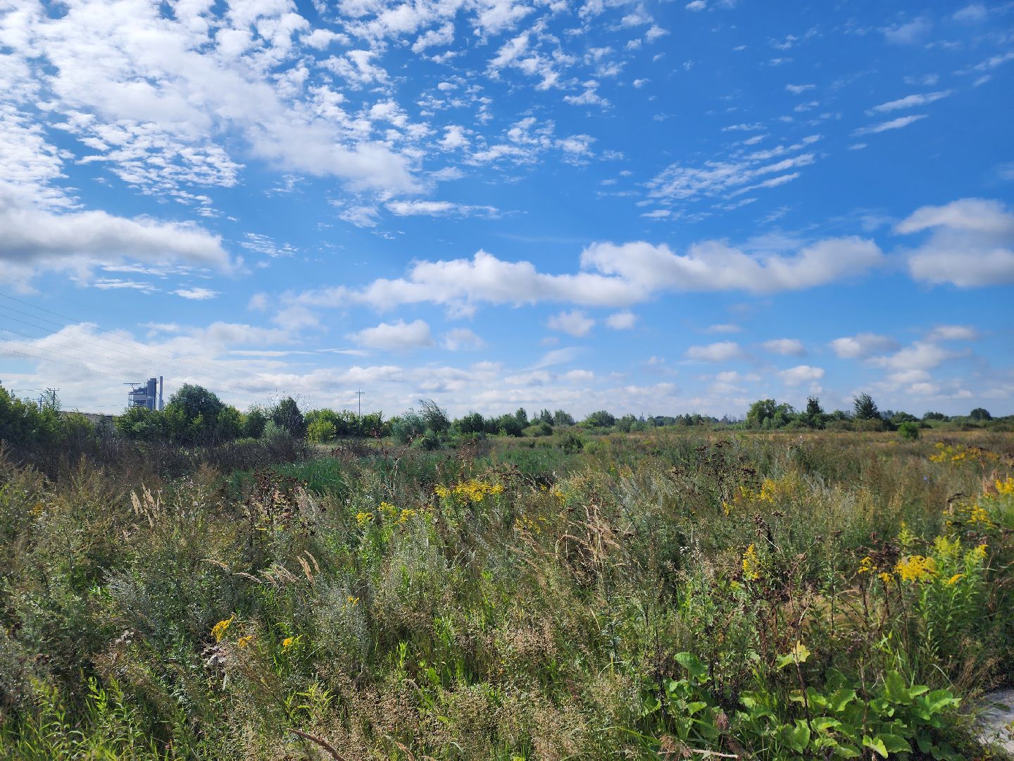 общество, жители, богородский городский округ, старая купавна, ногинск, строительство, экономика, предприятие, строительство нового предприятия, земля за один рубль,