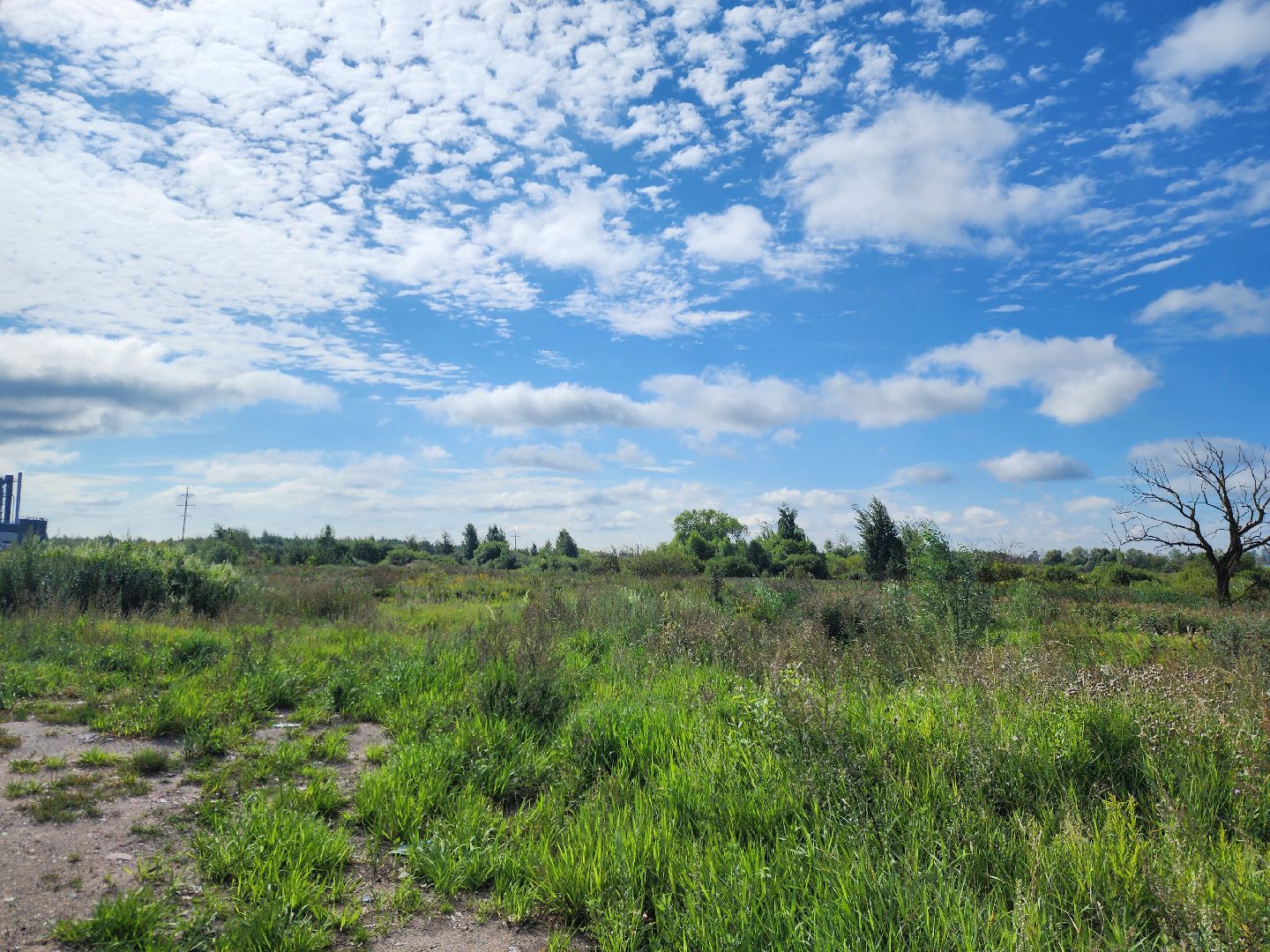 общество, жители, богородский городский округ, старая купавна, ногинск, строительство, экономика, предприятие, строительство нового предприятия, земля за один рубль,