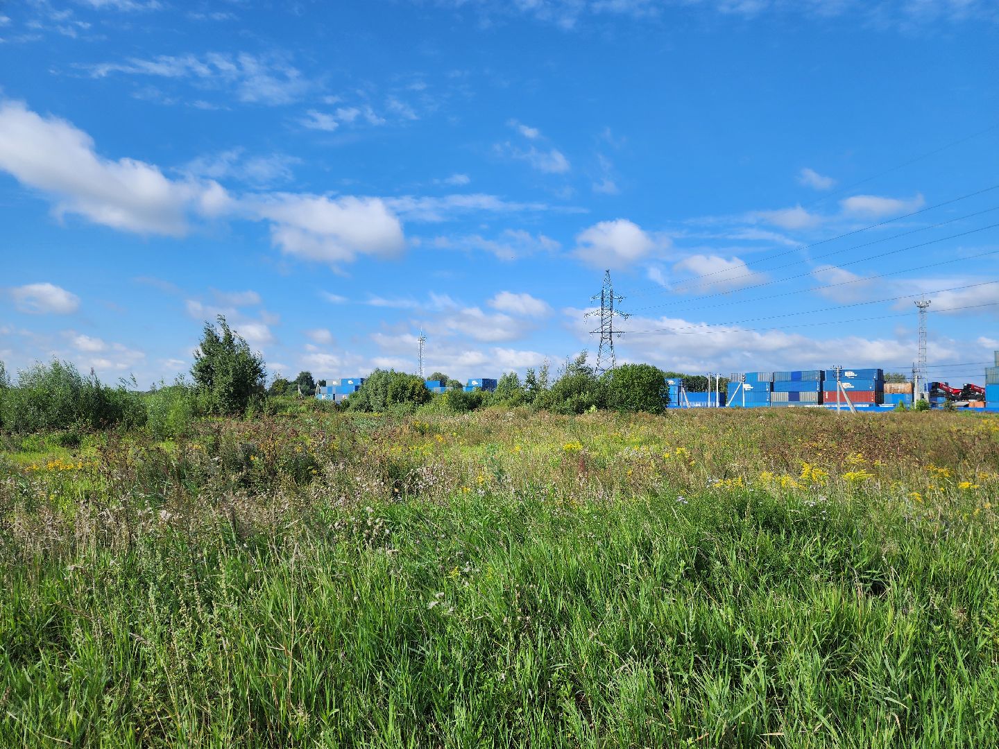 общество, жители, богородский городский округ, старая купавна, ногинск, строительство, экономика, предприятие, строительство нового предприятия, земля за один рубль,