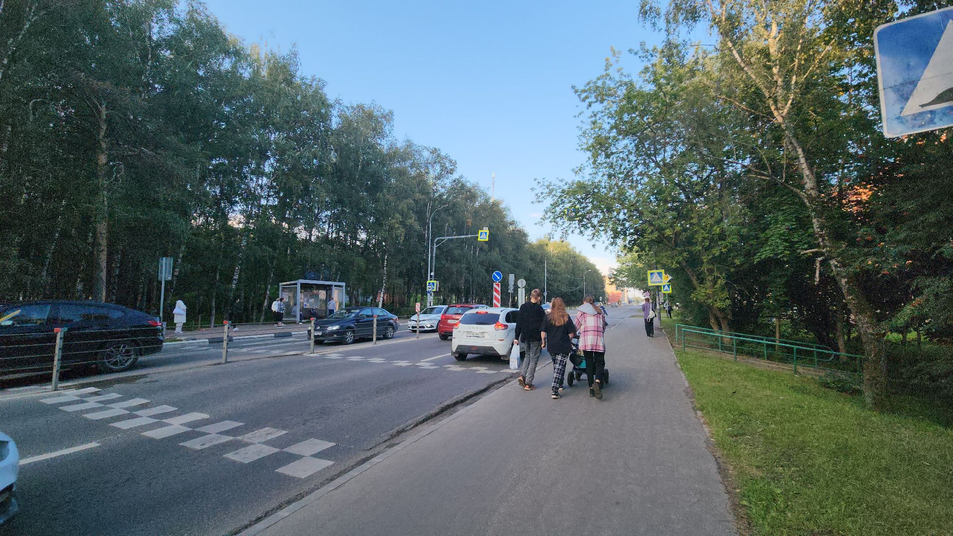 дорожные знаки, Лобня, дороги,