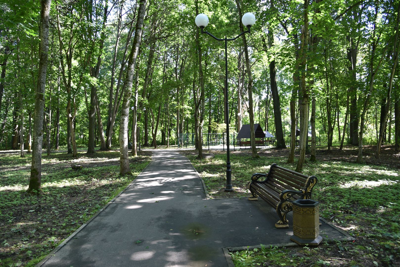 лотошино, лотошинский парк, парки подмосковья, зона для пикника,