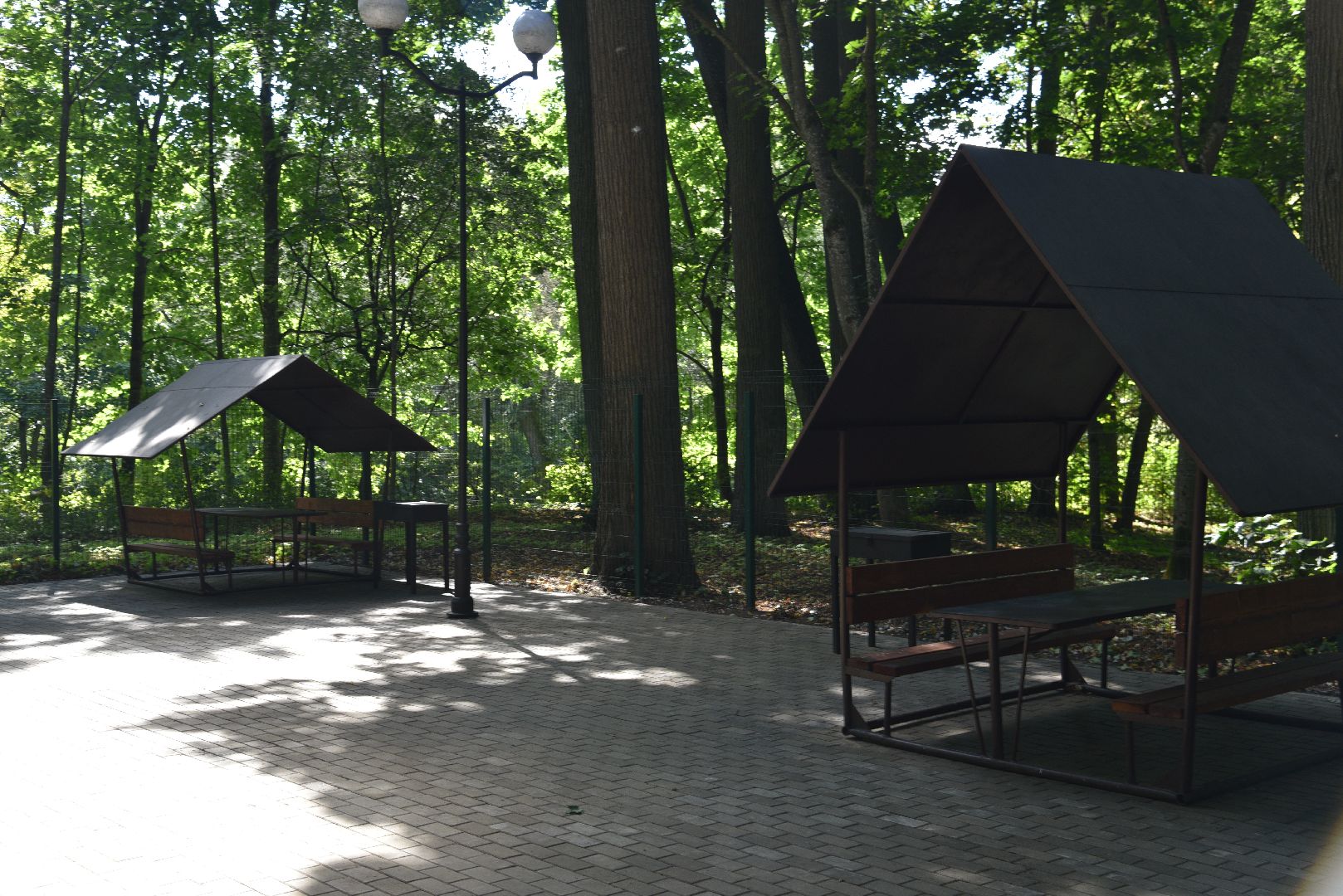 лотошино, лотошинский парк, парки подмосковья, зона для пикника,