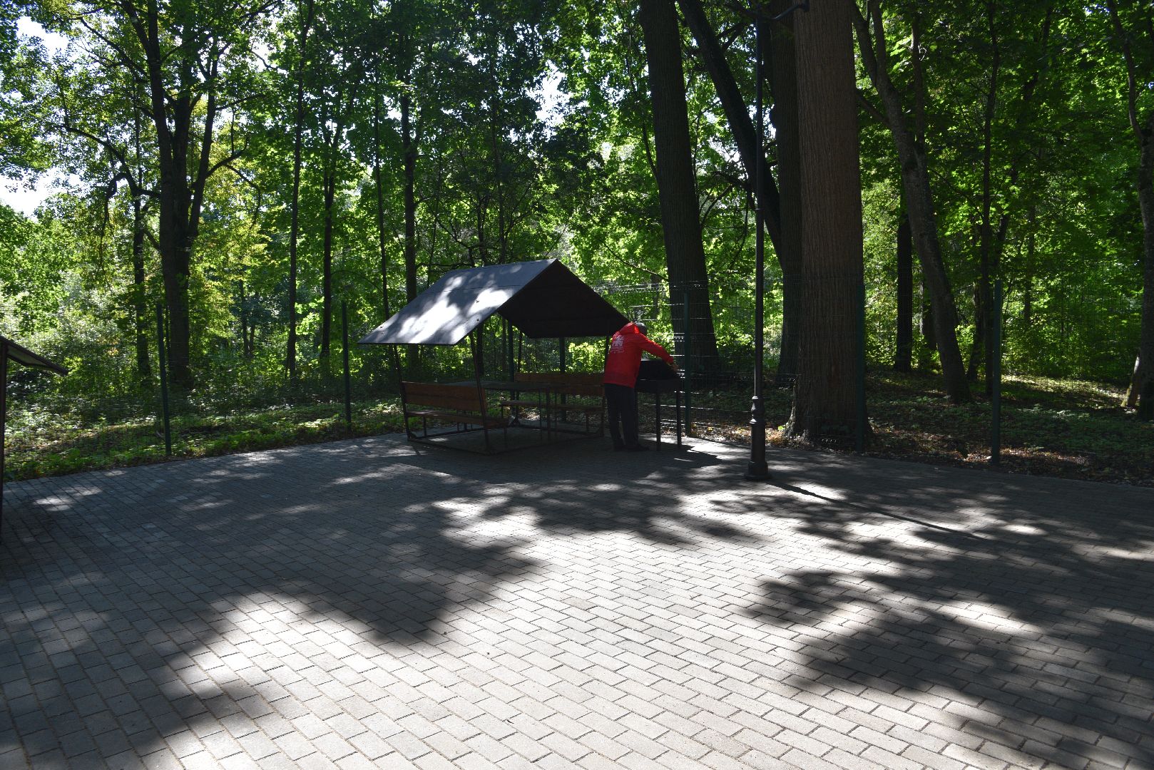 лотошино, лотошинский парк, парки подмосковья, зона для пикника,