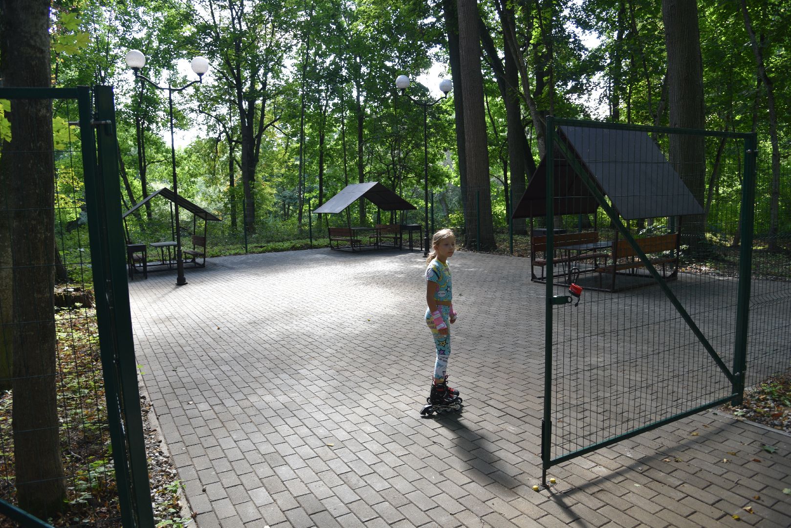 лотошино, лотошинский парк, парки подмосковья, зона для пикника,