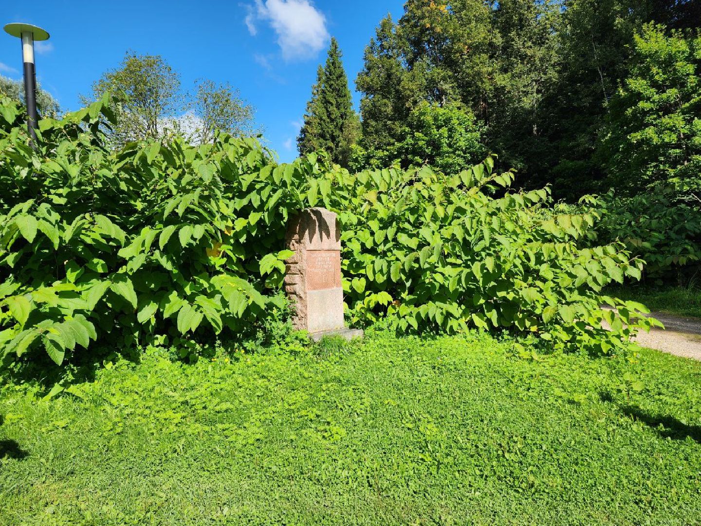 Солнечногорск, Шахматово, Туризм, История, Александр Блок,