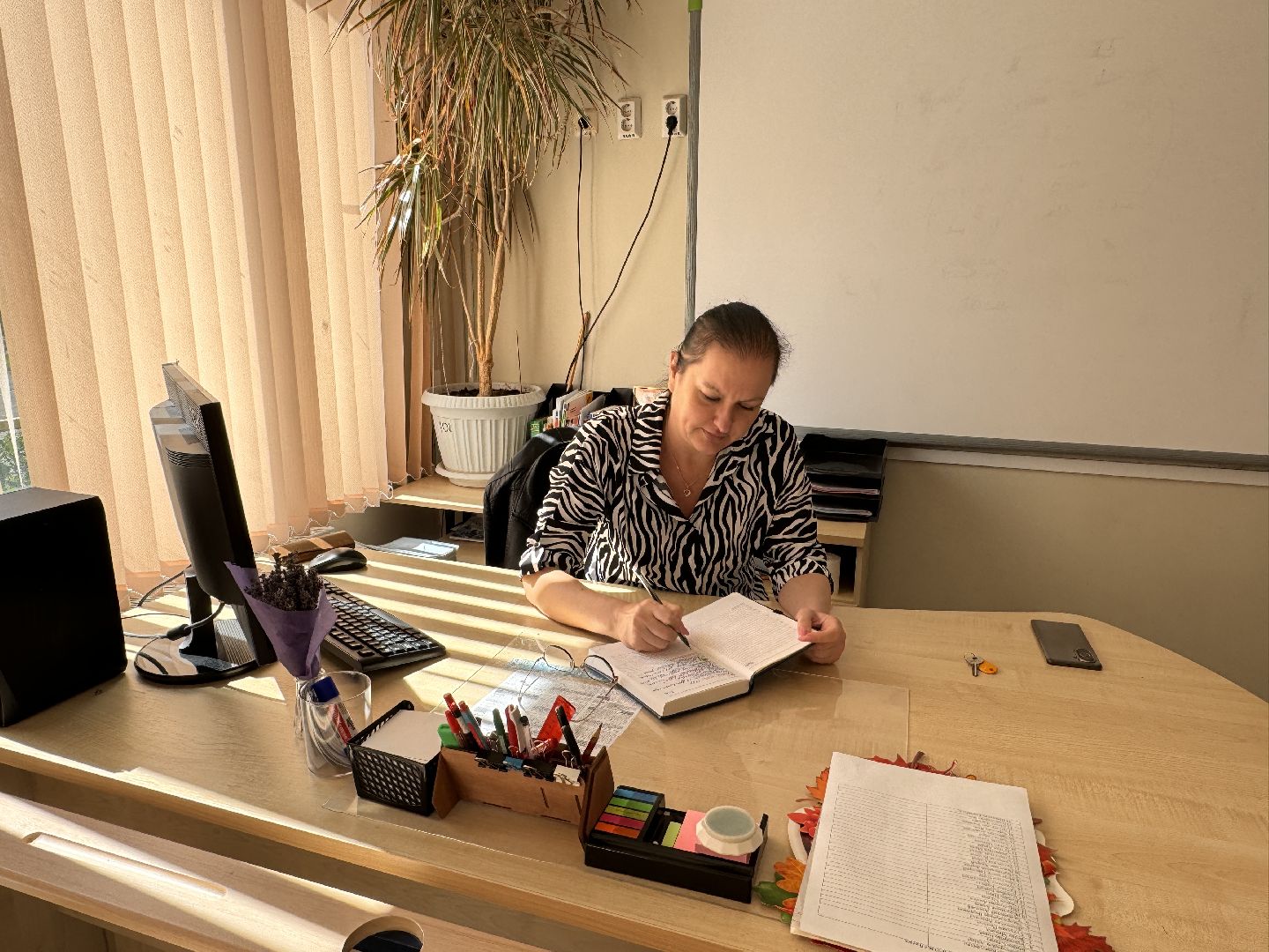 Школы Одинцова, новый учебный год 2024, Образование,