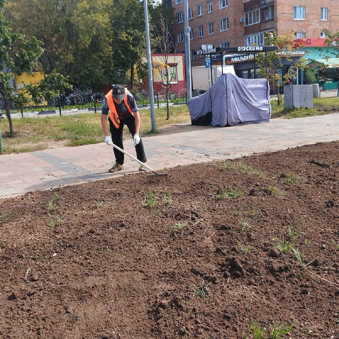 пушкино, газон, благоустройство, река,