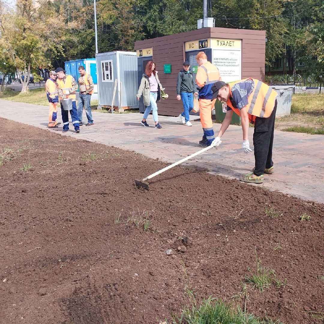 пушкино, газон, благоустройство, река,