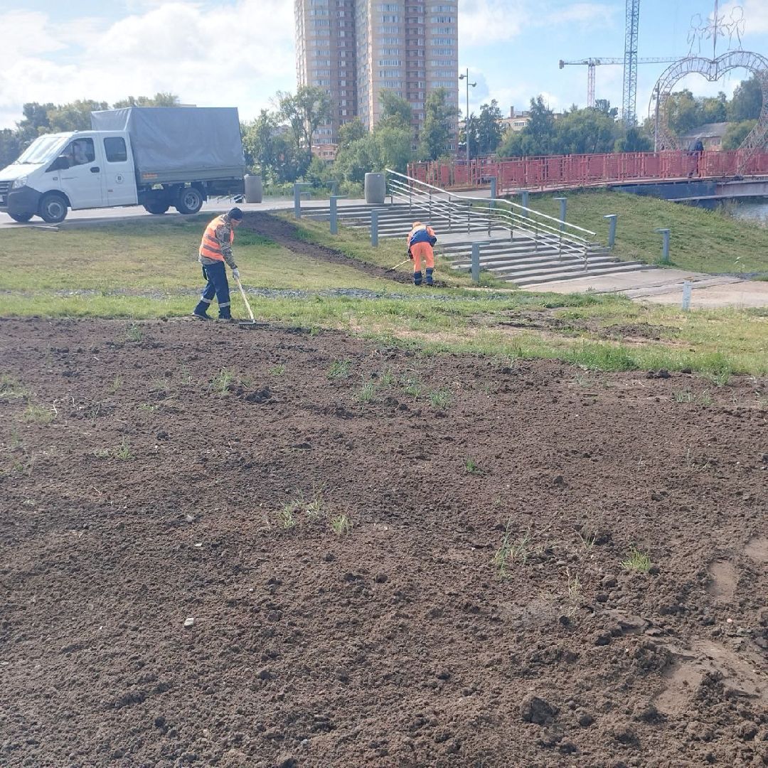 пушкино, газон, благоустройство, река,