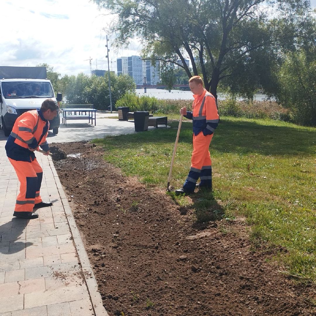 пушкино, газон, благоустройство, река,