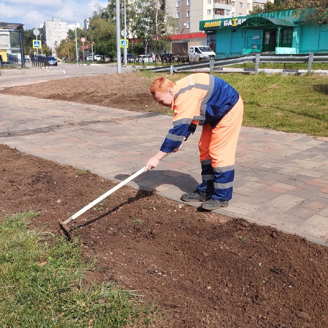 пушкино, газон, благоустройство, река,