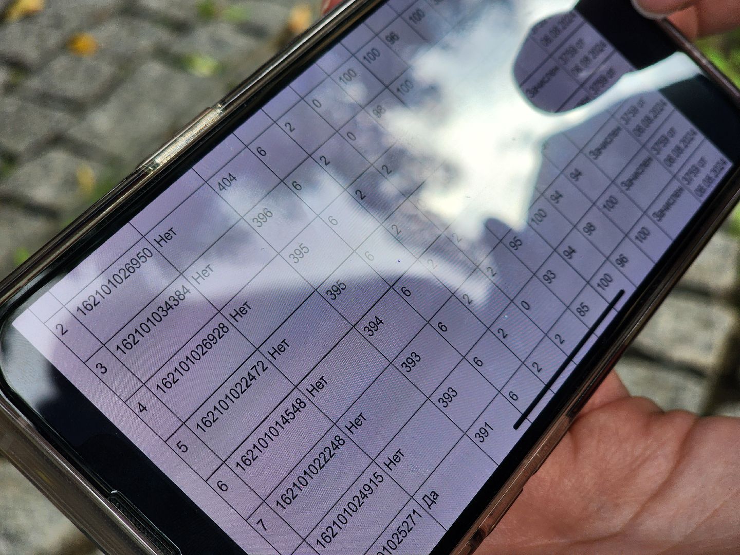 воскресенск, егэ, поступление в вуз,