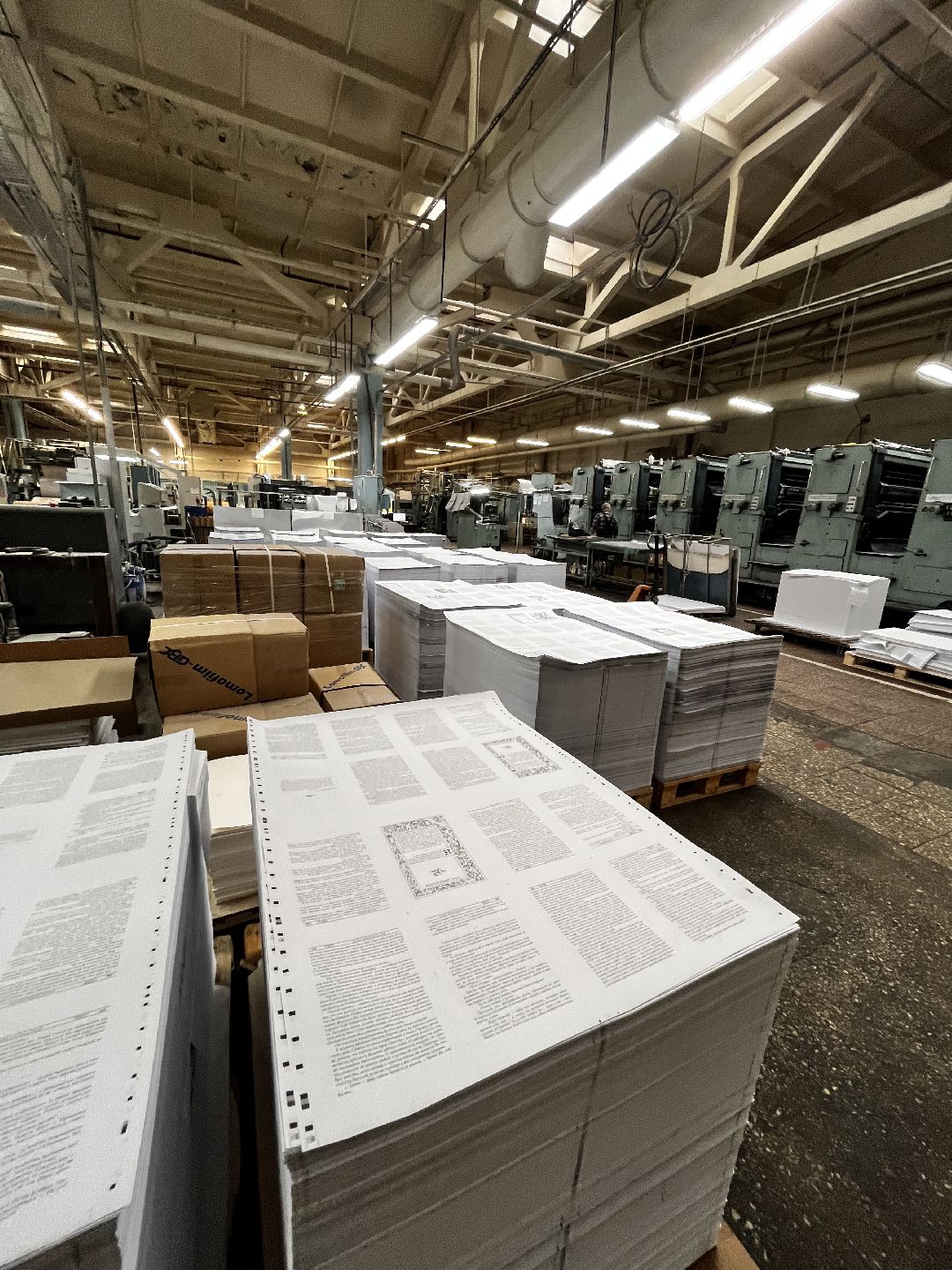 Можайск, общество