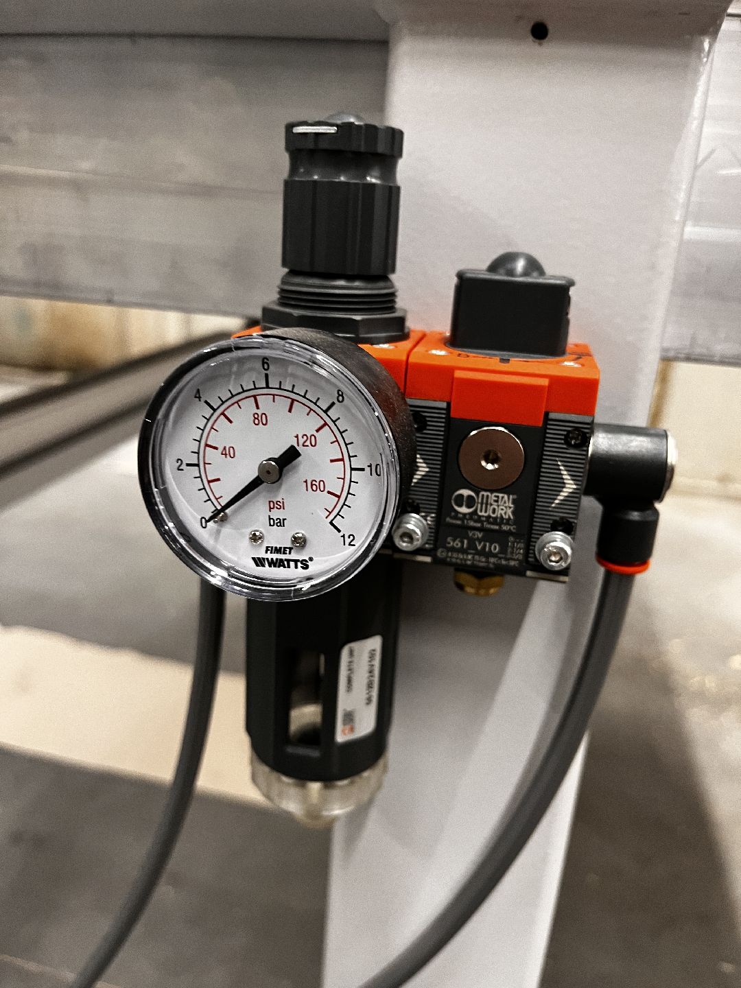 Можайск, общество