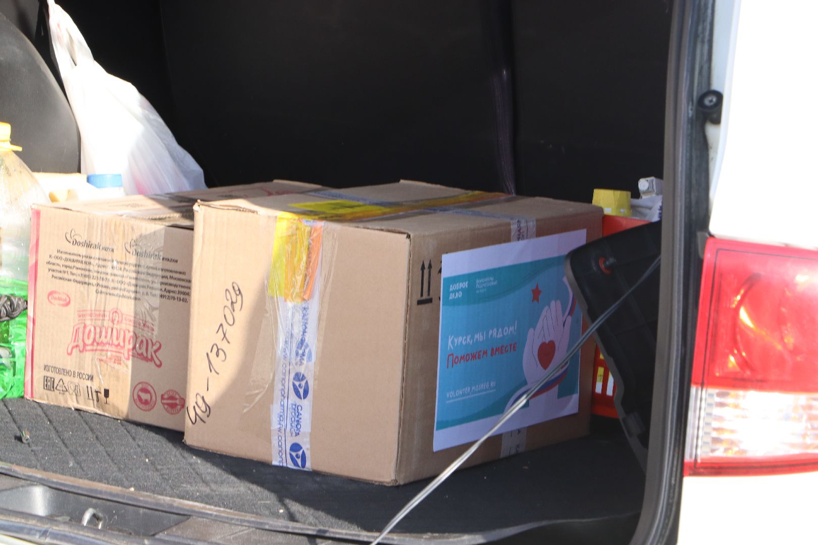 Серебряные Пруды, Волонтеры Подмосковья,