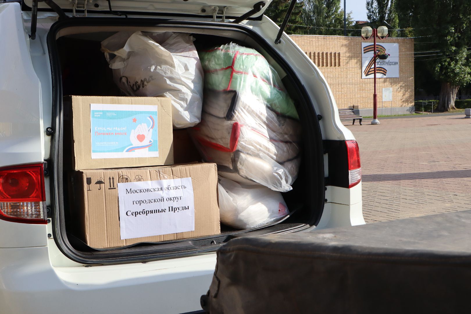 Серебряные Пруды, Волонтеры Подмосковья,