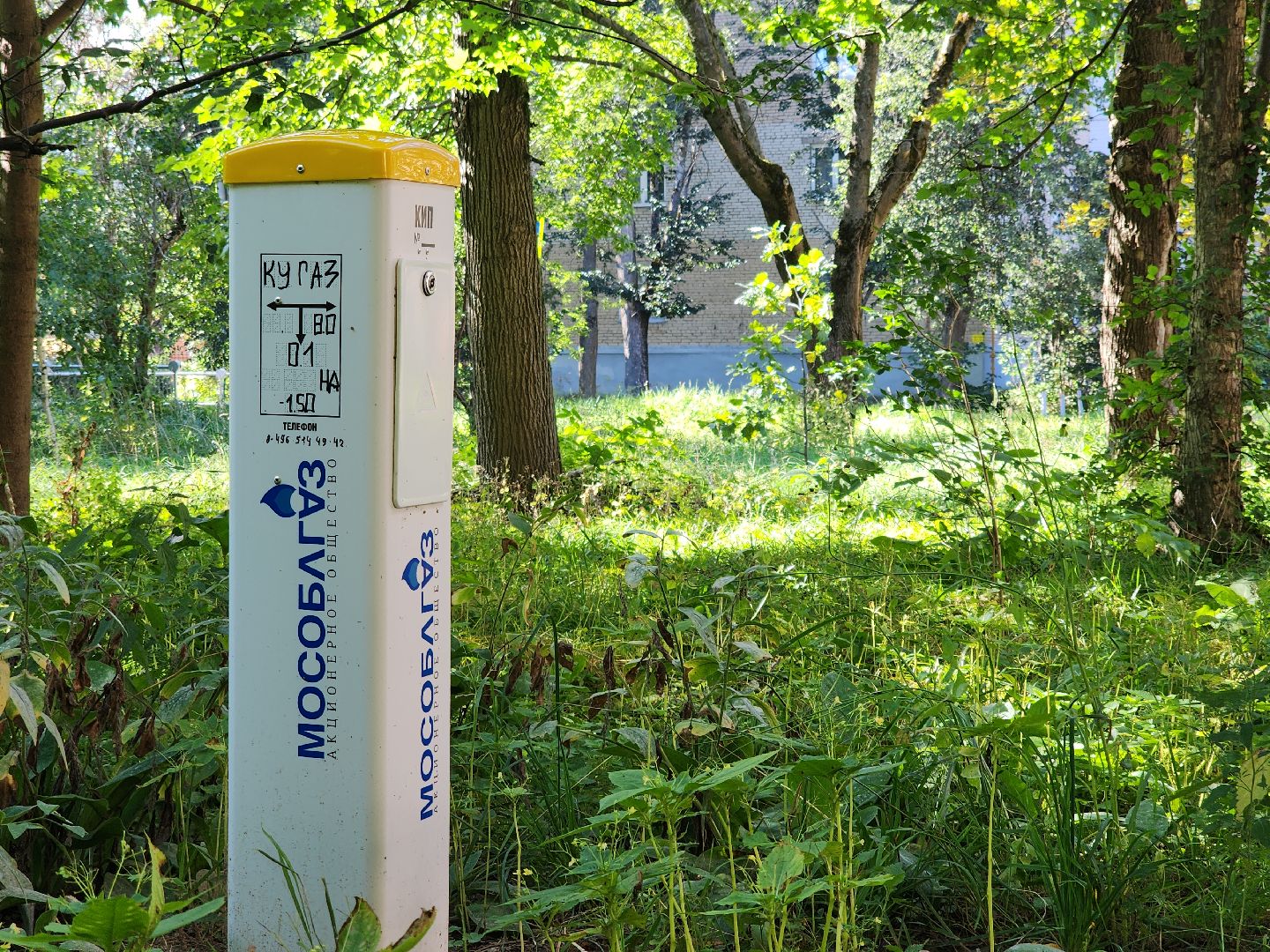 Черноголовка, газовая безопасность, мой город, жкх,