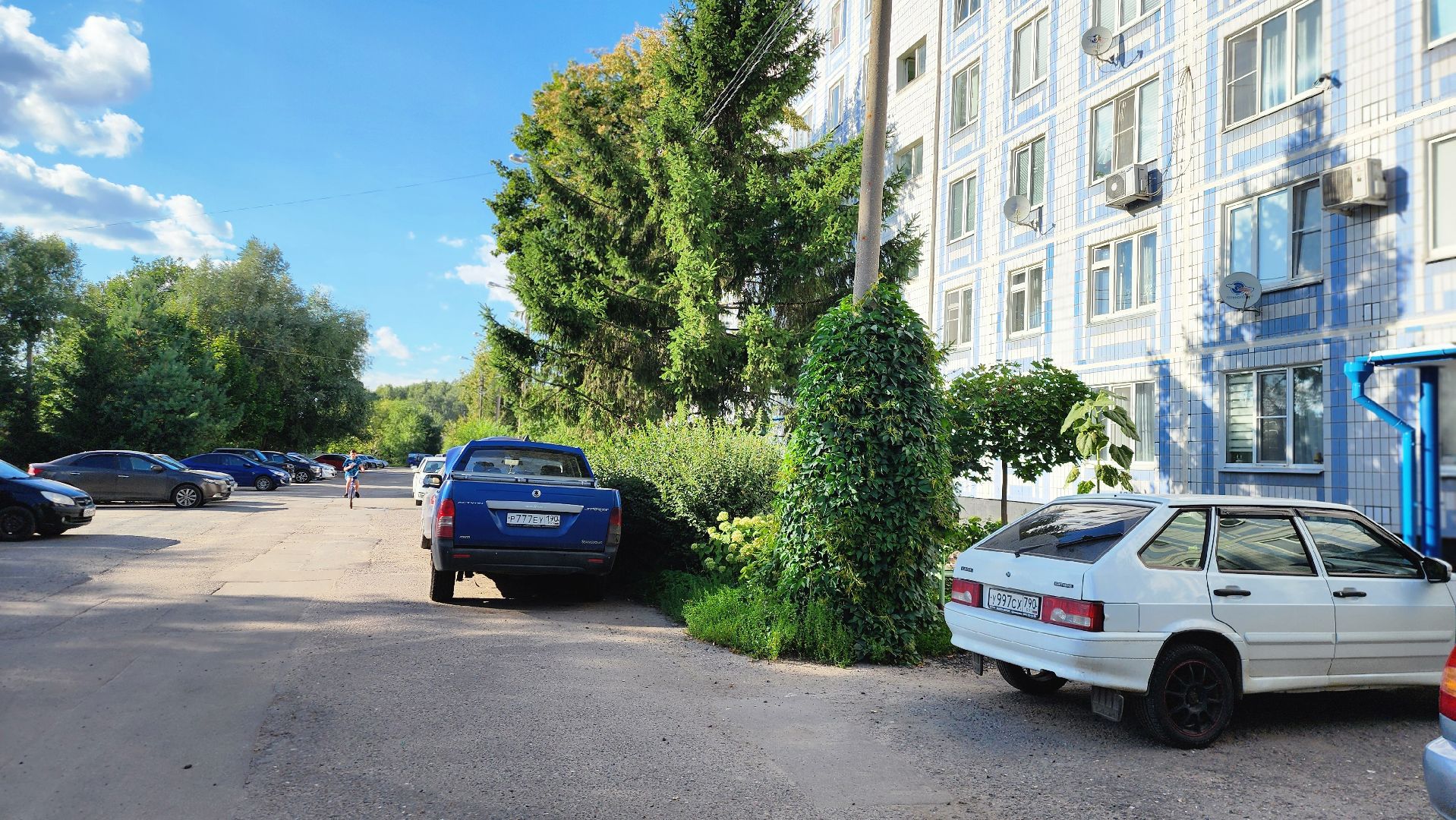 выездная администрация, Растуново, Барыбино, Домодедово, Белые Столбы,