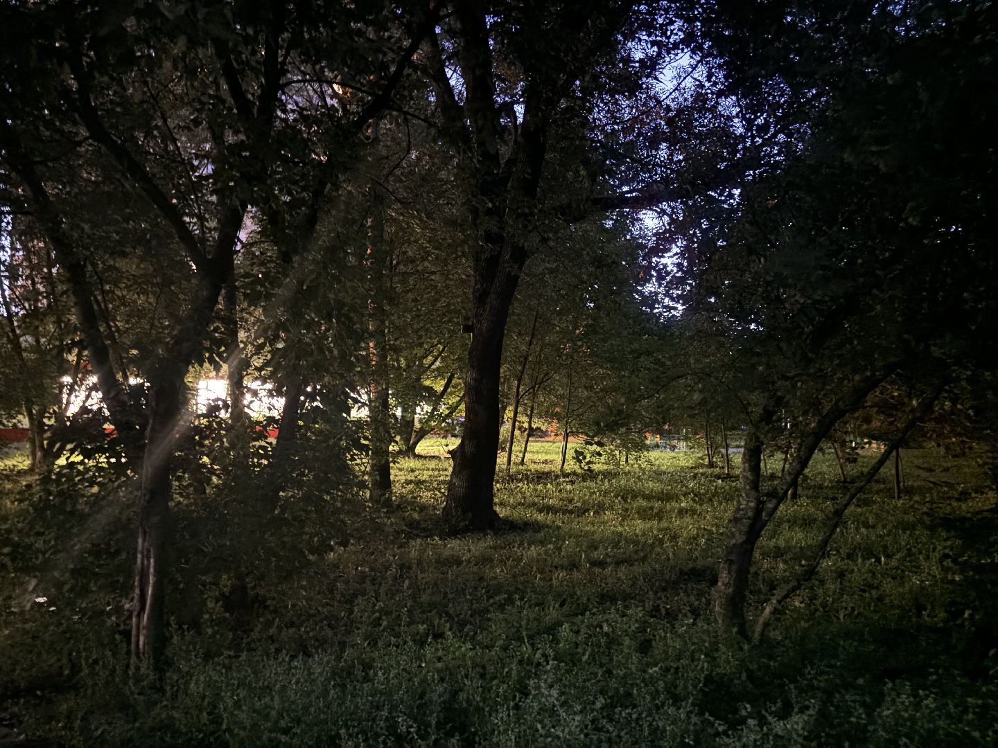 выездная администрация балашиха, строительство, выездная администрация,