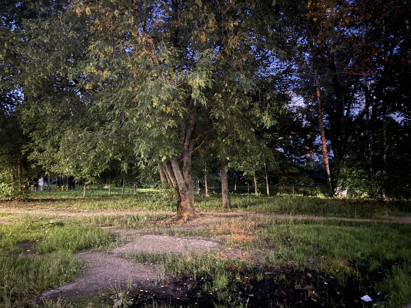 выездная администрация балашиха, строительство, выездная администрация,