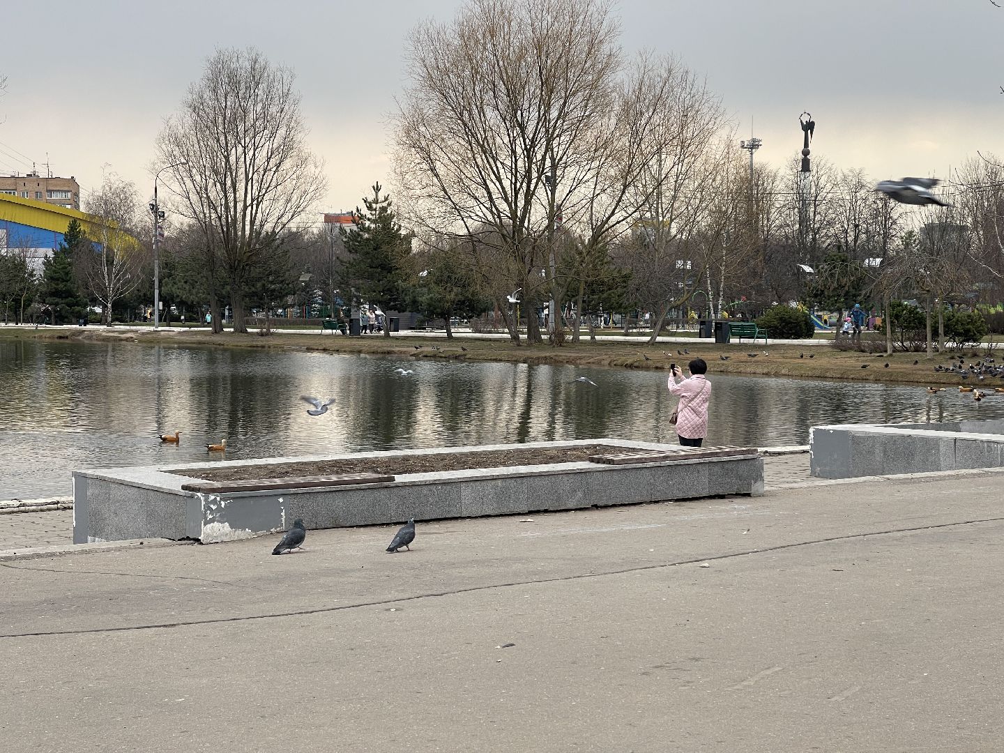 Одинцово, площадь, собаки, выгул, конкурс, обсуждение, минстрой,