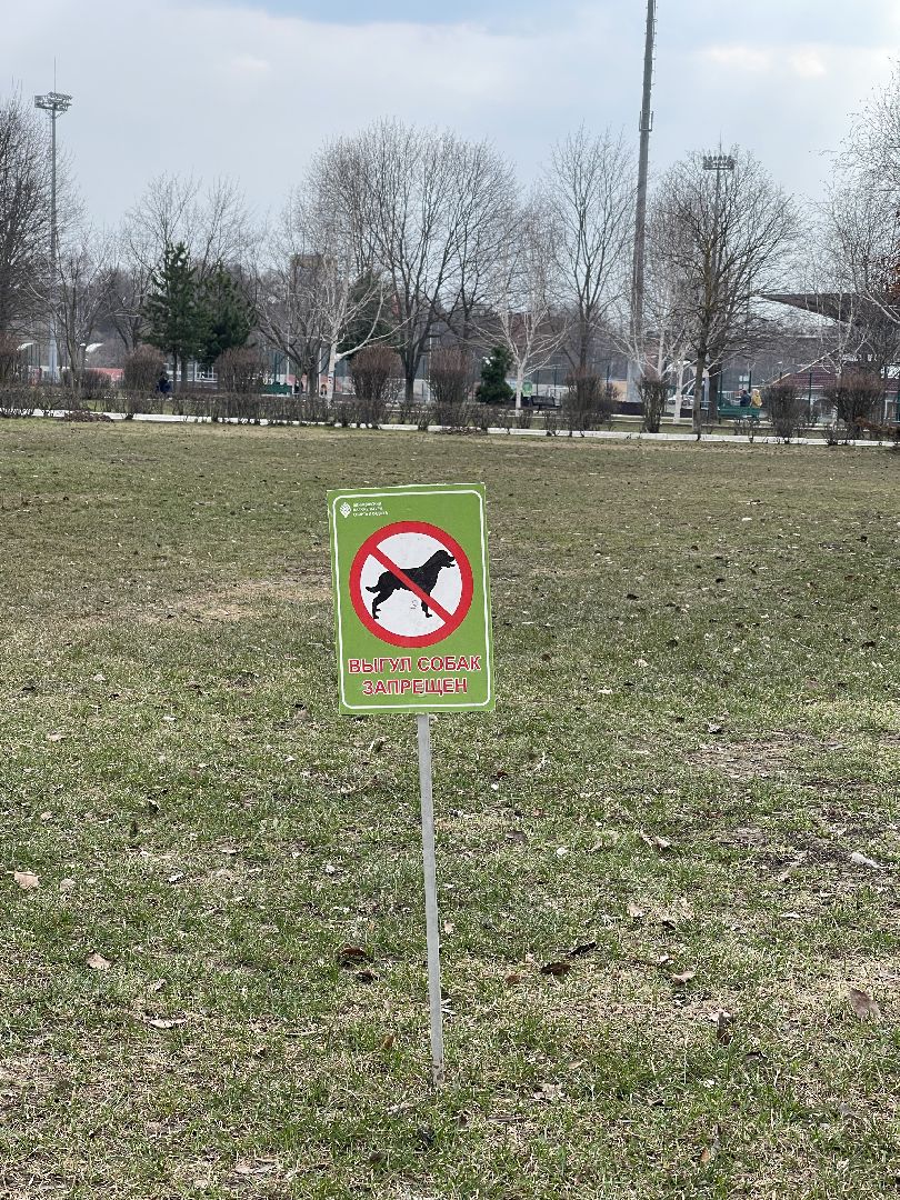 Одинцово, площадь, собаки, выгул, конкурс, обсуждение, минстрой,