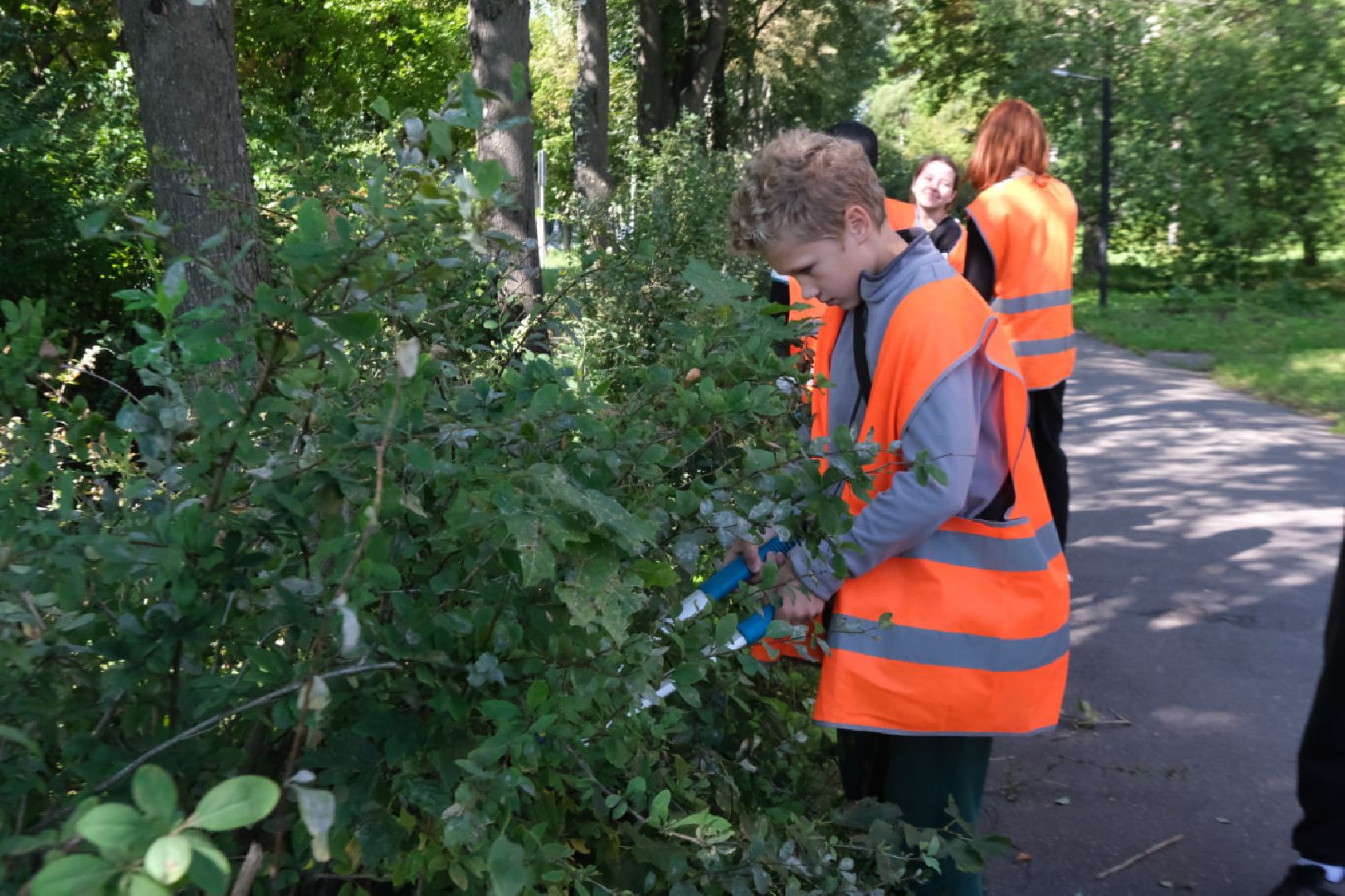 Пущино, серпухов, трудоустройство подростков,