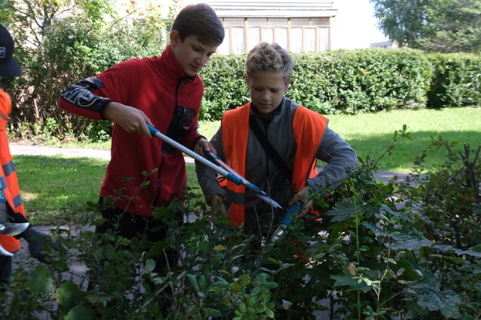 Пущино, серпухов, трудоустройство подростков,