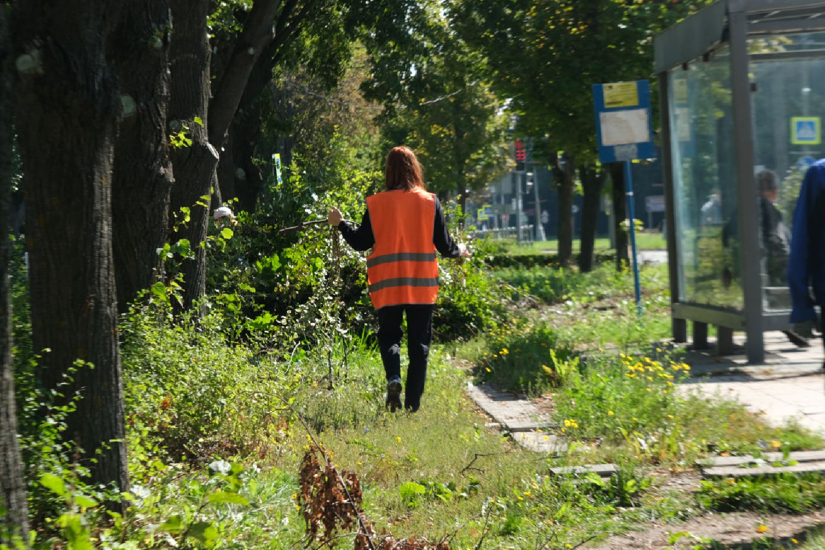 Пущино, серпухов, трудоустройство подростков,