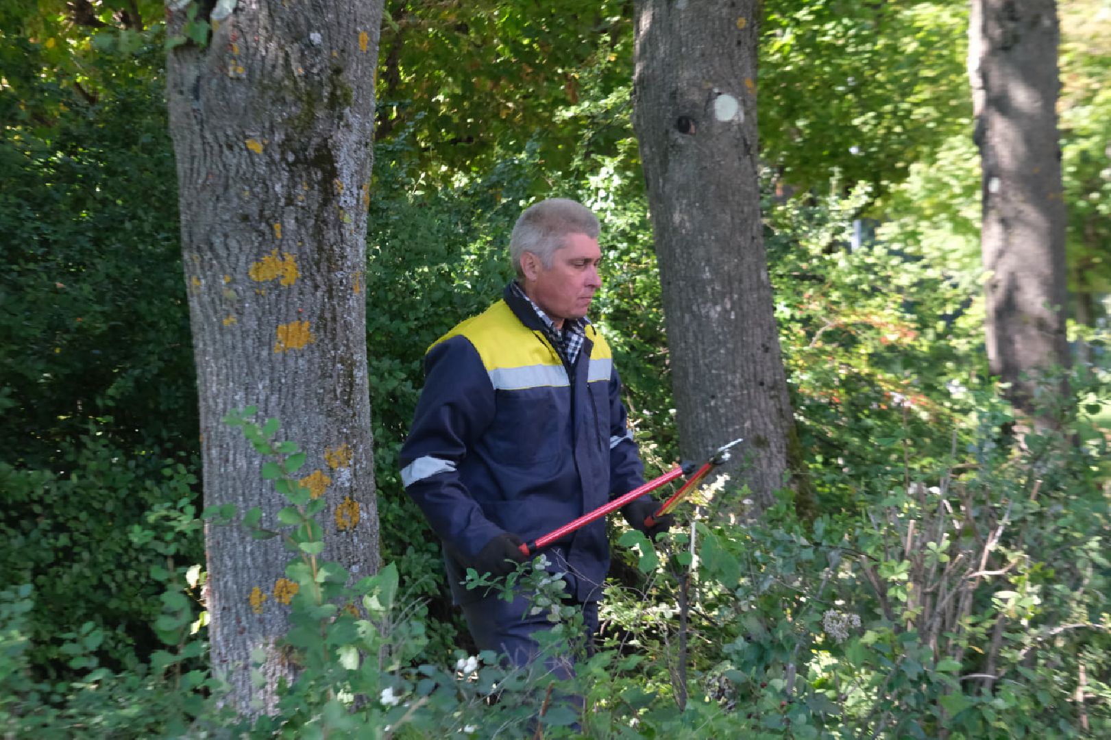 Пущино, серпухов, трудоустройство подростков,