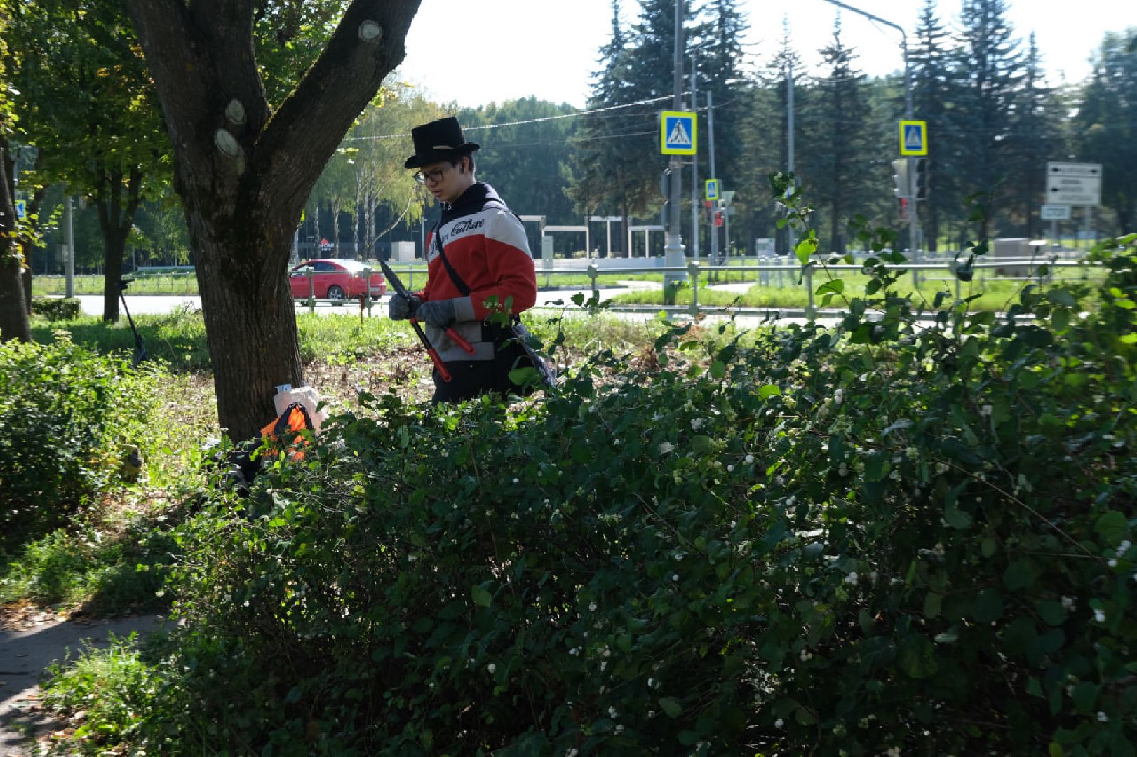 Пущино, серпухов, трудоустройство подростков,