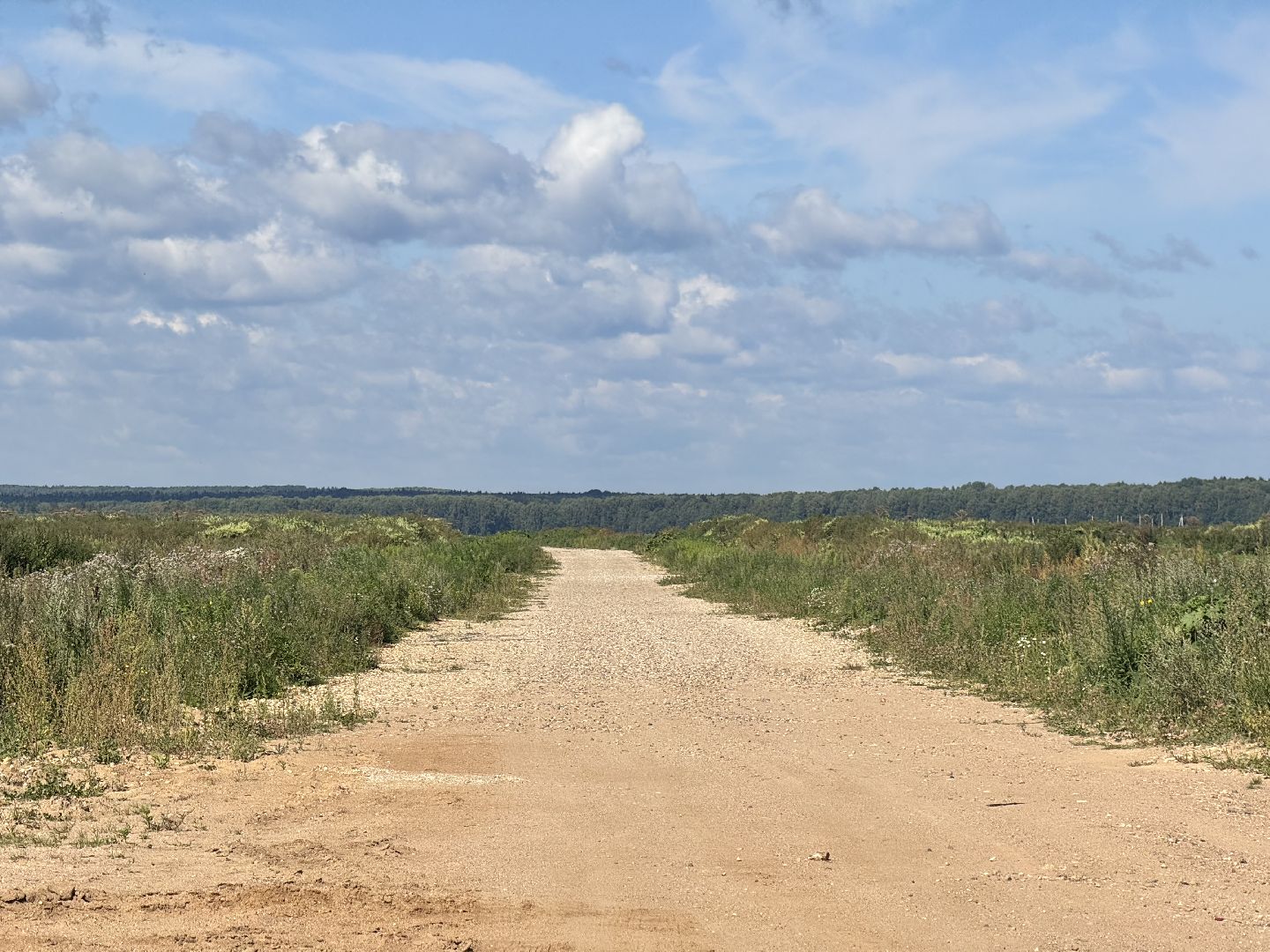 шаховская, ферма, скот, строителтство,