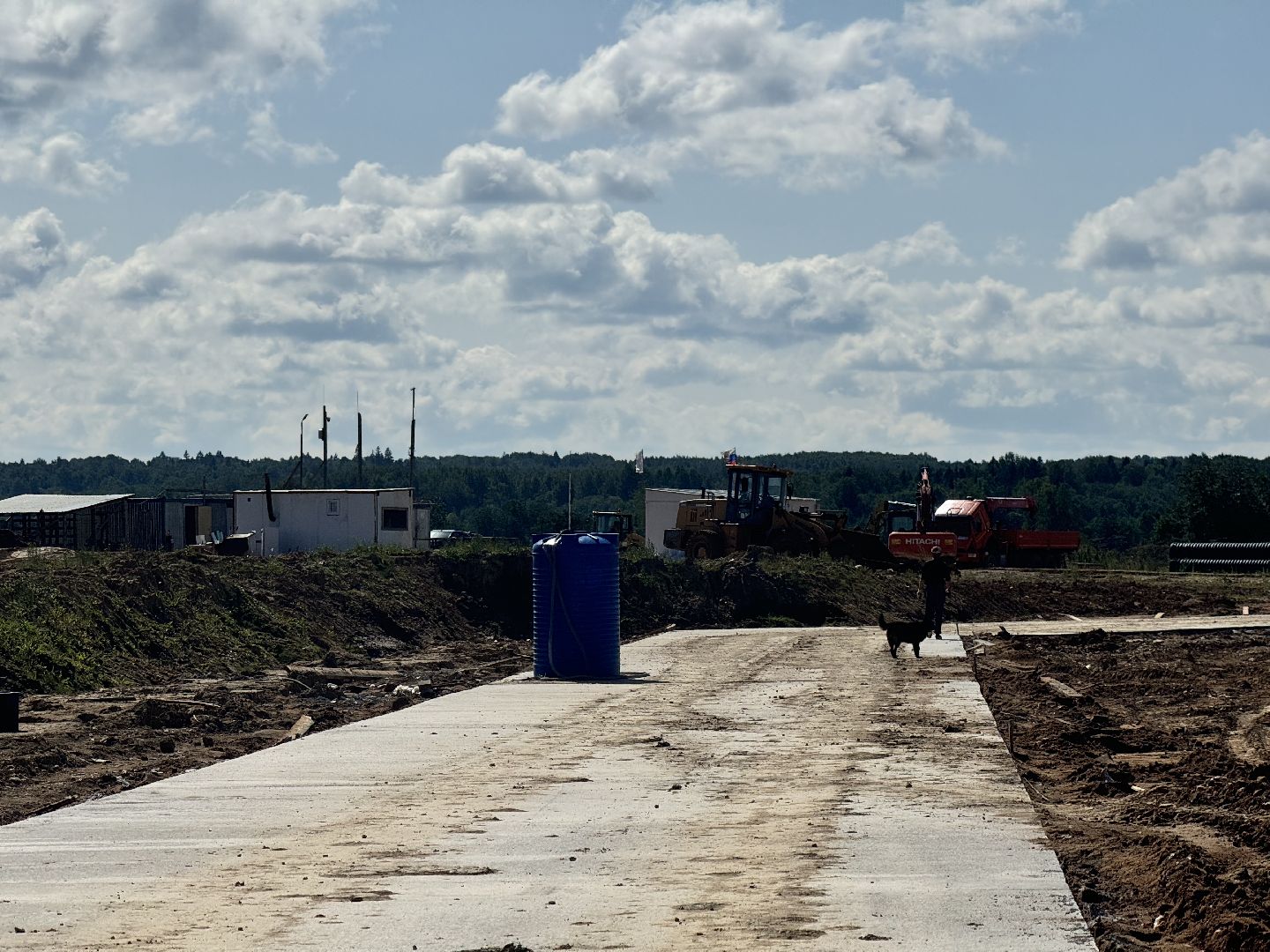 шаховская, ферма, скот, строителтство,