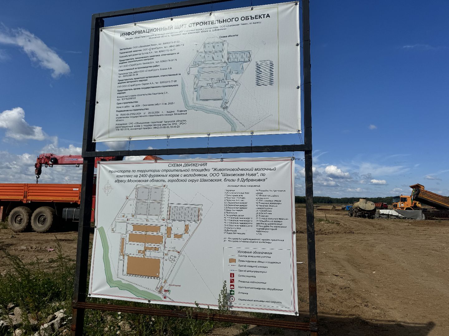 шаховская, ферма, скот, строителтство,