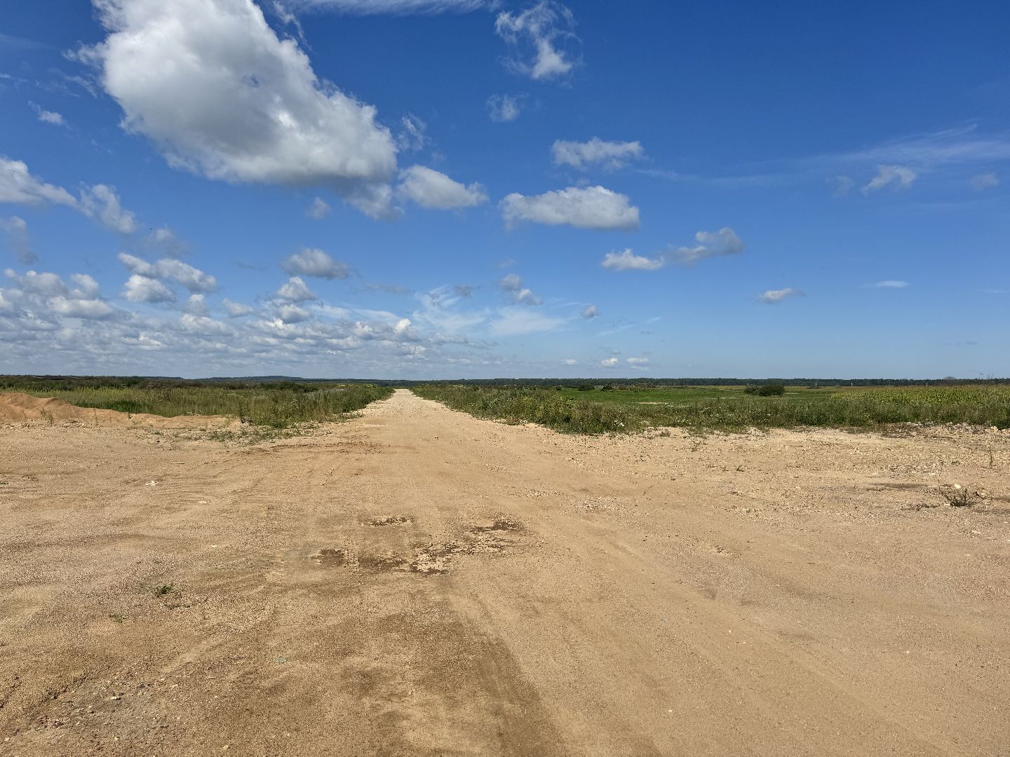 шаховская, ферма, скот, строителтство,